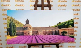 Tablou Provence cu câmpuri de lavandă