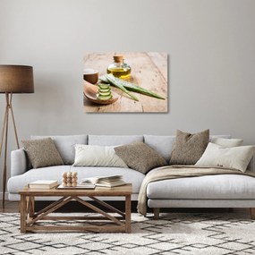 Tablou pe sticlă - Aloe vera (70x50 cm)