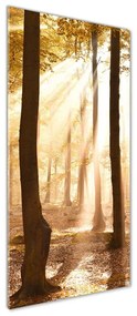 Pictura pe sticlă acrilică Pădure în toamna
