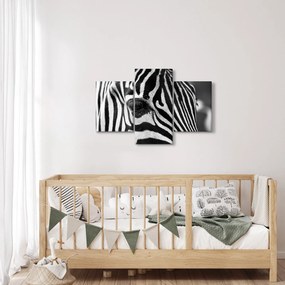Tablou cu zebră (90x60 cm)