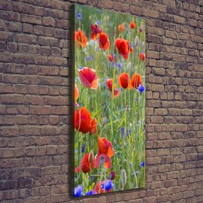 Tablou pe pânză Wildflowers maci