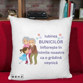Cadou pentru Bunici - Perna Personalizata Bunicii Iubirea Infloreste Bunici cu Nepoata Colorat, 40x40 cm, Alb Pufos, Husa Detasabila, Perna Inclusa, BEKZ®
