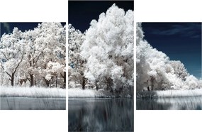Tablou - Albă ca Zăpada Albă ca Zăpada Copaci (90x60 cm)