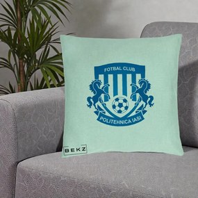 Perna Personalizata FC Politehnica Iasi Fotbal, 40x40 cm, Verde Menta, Husa Detasabila, Perna Inclusa, BEKZ®
