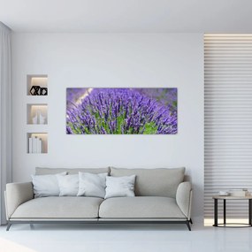 Tablou - lavanda (120x50 cm), în 40 de alte dimensiuni noi