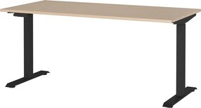 Birou cu aspect de lemn de stejar cu înălțime ajustabilă electric 80x160 cm – Germania