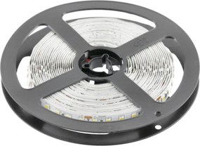 Bandă LED Flash GTV pentru mobilier, lumină rece, 120 LED m, 1350 lm m, 21 W m, 24V, IP20, 5 m Alb rece, 21 W/m, 24 V, LED Flash, 1350 lm/m, 10 mm