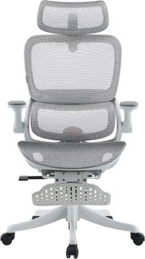 Scaun ergonomic SIHOO B100-PRO, cotiere 4D, tetiera 3D, mecanism multifunctional inclinare/blocare, suport picioare, pivotant, Mesh, Gri