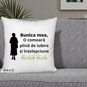 Cadou pentru Bunica - Perna Personalizata Bunica Mea Comoara Iubire Intelepciune Silueta cu Nepoata, 40x40 cm, Alb Pufos, Husa Detasabila, Perna Inclusa, BEKZ®