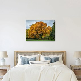 Tablou cu copac (70x50 cm)