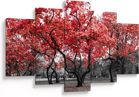 Tablou - Copacii roșii, Central Park, New York (150x105 cm)