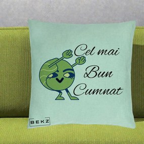 Cadou pentru Cumnat - Perna Personalizata Cel mai Bun Cumnat cu Personaj Funny Verde, 40x40 cm, Verde Menta, Husa Detasabila, Perna Inclusa, BEKZ®