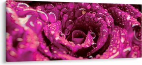 Tabloul cu floarea trandafirului roz (120x50 cm)