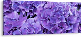 Tablou cu flori violete (120x50 cm)