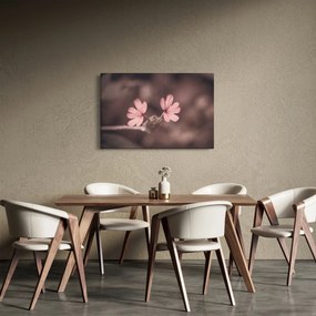 Tablou cu floare roz (90x60 cm)