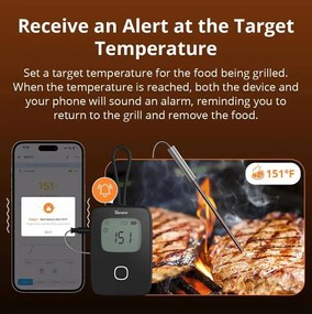 SONOFF BBQ Termometru smart pentru carne BMT01