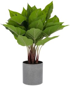 Floare artificială Quiver Kave Home, înălțime 50 cm