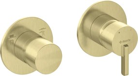 SILIA - Baterie de duș cu comutator de duș BQS_R46P Finisaj: Auriu periat