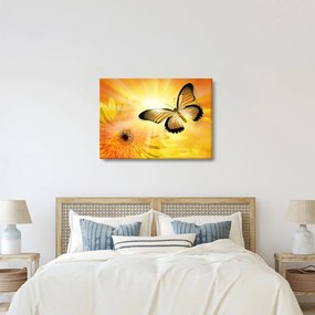 Tablou - Fluture galben cu flori (70x50 cm)