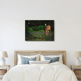 Tablou pe sticlă cu pui de cerb (70x50 cm)