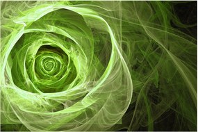 Tablou - Abstract Rose Green (90x60 cm)