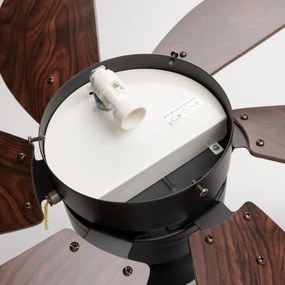 Ventilator de tavan ZEVENTI FAMARA 1xE14/60W/230V