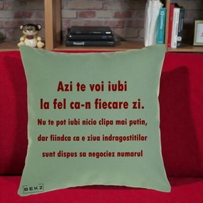 Cadou pentru Iubita - Perna Personalizata Azi Te Voi Iubi, 40x40 cm, Verde, Husa Detasabila, Perna Inclusa, BEKZ®
