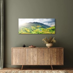 Tablou plantație (120x50 cm)