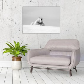 Tablou - Urs polar,alb-negru (70x50 cm)