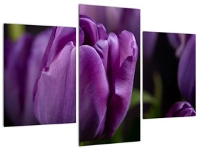 Tablou cu flori de lalele (90x60 cm)