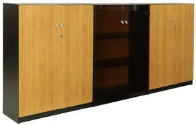 Biblioteca office  mediu Concept