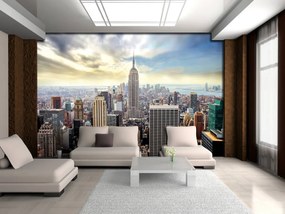 Fototapet - Panoama New York-ului (254x184 cm)
