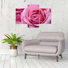 Tablou cu trandafir (90x60 cm)