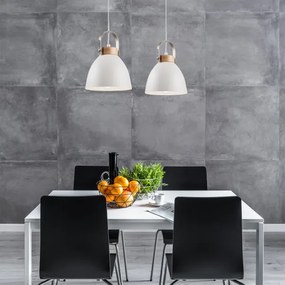 Lustr pe cablu DANIELLE 2xE27/60W/230V