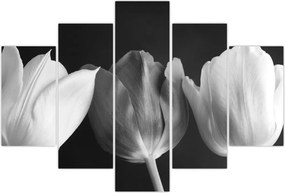 Tablou - Lalele alb negre (150x105 cm)