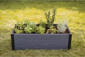 Pat ridicat de plante Maple – Keter