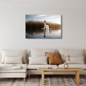 Tablou cu lebăda (90x60 cm)