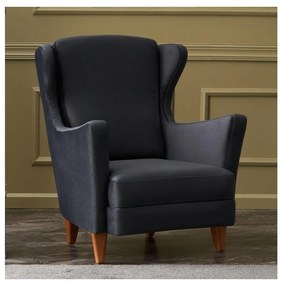 Fotoliu cu aripi NUPI, antracit