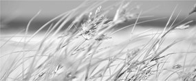 Tablou - Iarbă de plajă (120x50 cm)