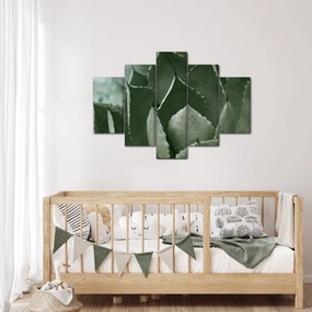 Tablou - Agave verde (150x105 cm)