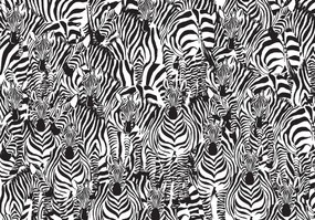 Fototapet - Zebra (152,5x104 cm), în 8 de alte dimensiuni noi