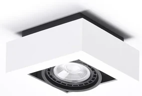 Spot aplicat directionabil de tavan/plafon NIKEA 1 ES111 alb/negru