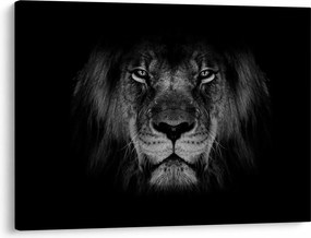 Tablou - Leu majestic (70x50 cm)