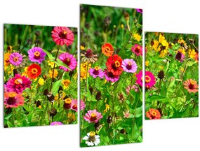 Tablou cu flori de luncă (90x60 cm)