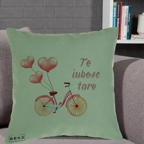 Perna Decorativa Te Iubesc Tare cu Bicicleta Roz si Baloane Inima, 40x40 cm, Verde, Husa Detasabila, Perna Inclusa, BEKZ®