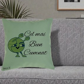 Cadou pentru Cumnat - Perna Personalizata Cel mai Bun Cumnat cu Personaj Funny Verde, 40x40 cm, Verde, Husa Detasabila, Perna Inclusa, BEKZ®
