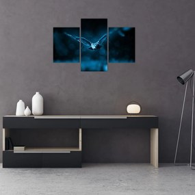 Tablou cu bufnița zburând (90x60 cm)