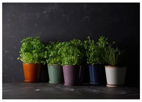 Ghiveci decorativ din gresie ø 14 cm Gastro Dark Blue/Black – Bitz