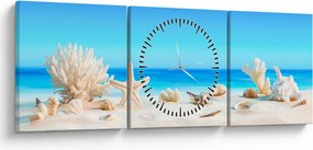 Tablou - Natura morta cu scoici (cu ceas) (90x30 cm)