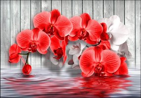 Fototapete, Orhideea rosie pe un fundal gri de lemn Art.01151